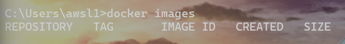 image-20250429082113700