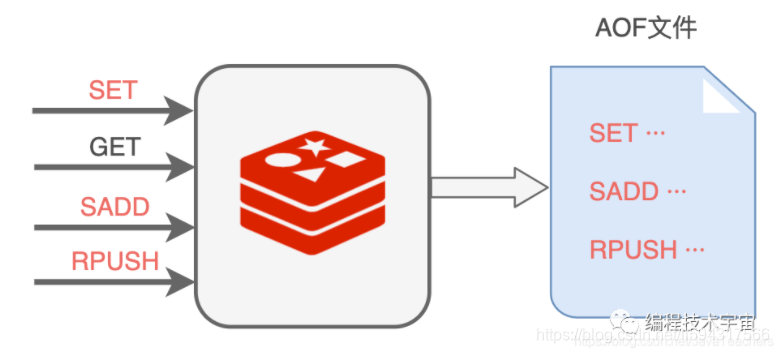 image-20251031195623168