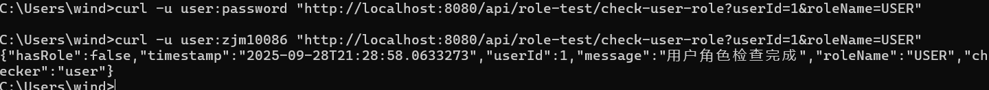 image-20250928212907783