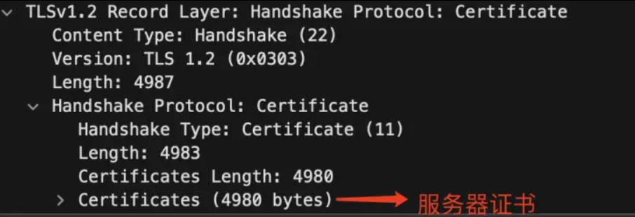 image-20251227171143406