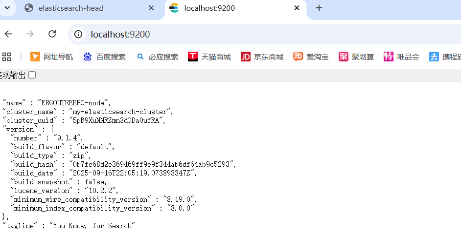 image-20251017195935139