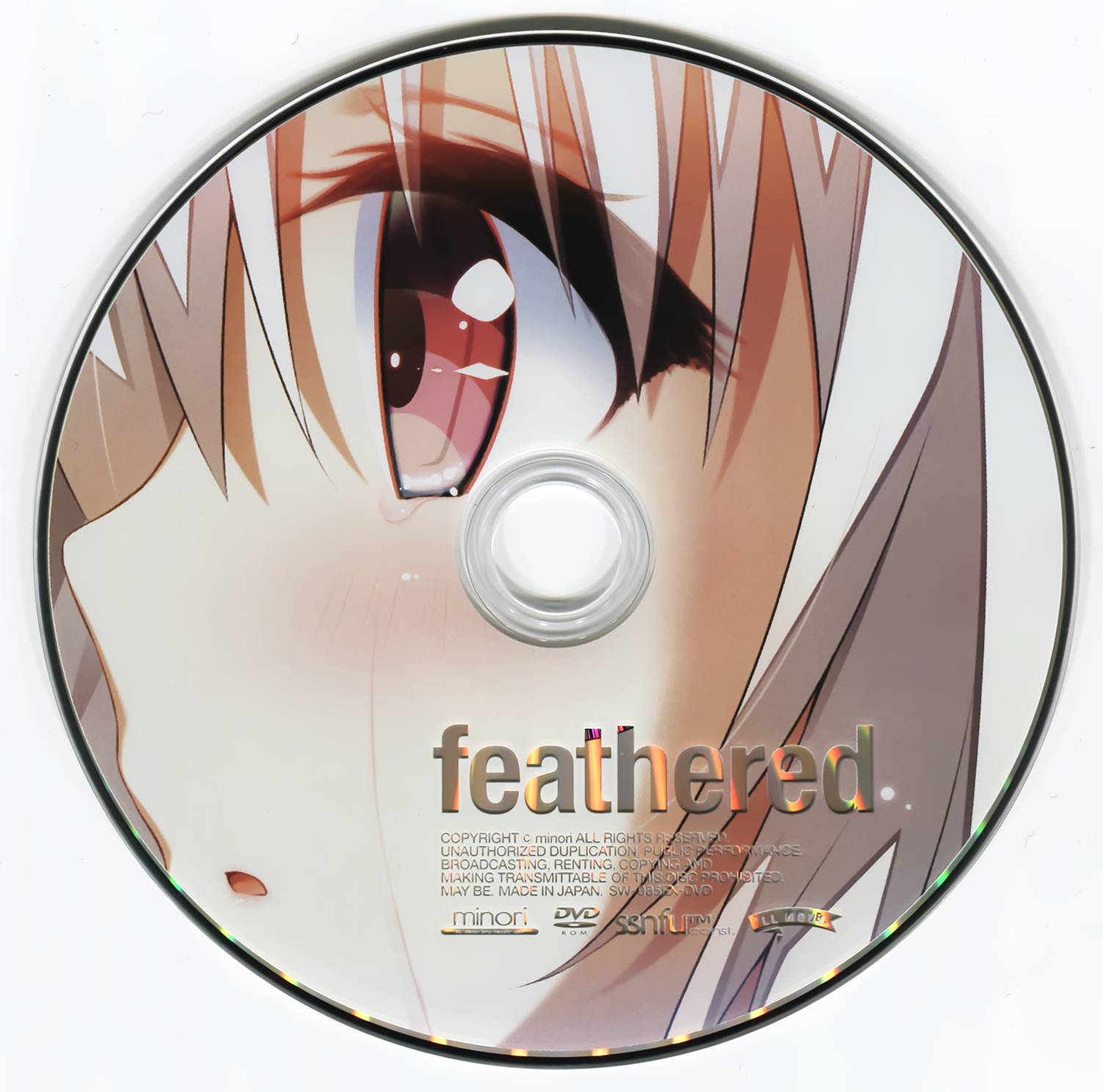 image-20251115162818323