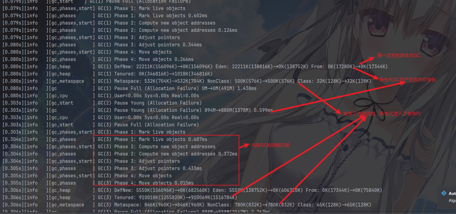 image-20260123113915690