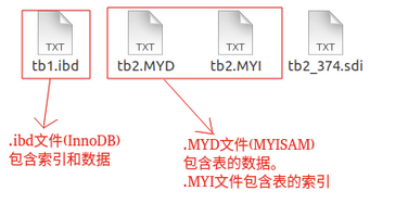 image-20260228101031567