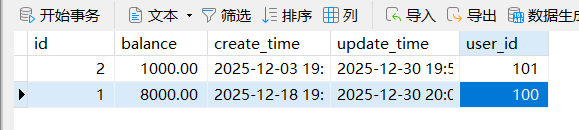 image-20251230200748984
