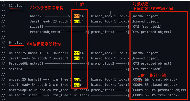 image-20260122123456211