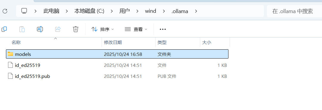 image-20251024171105764