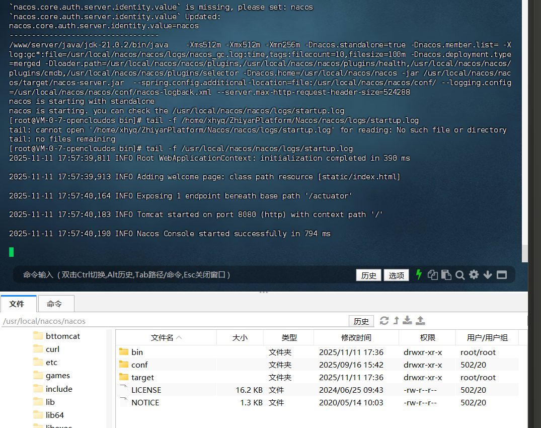 image-20251111175824306