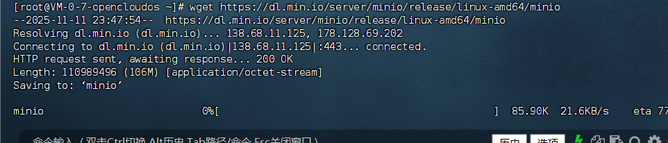 image-20251111234804092